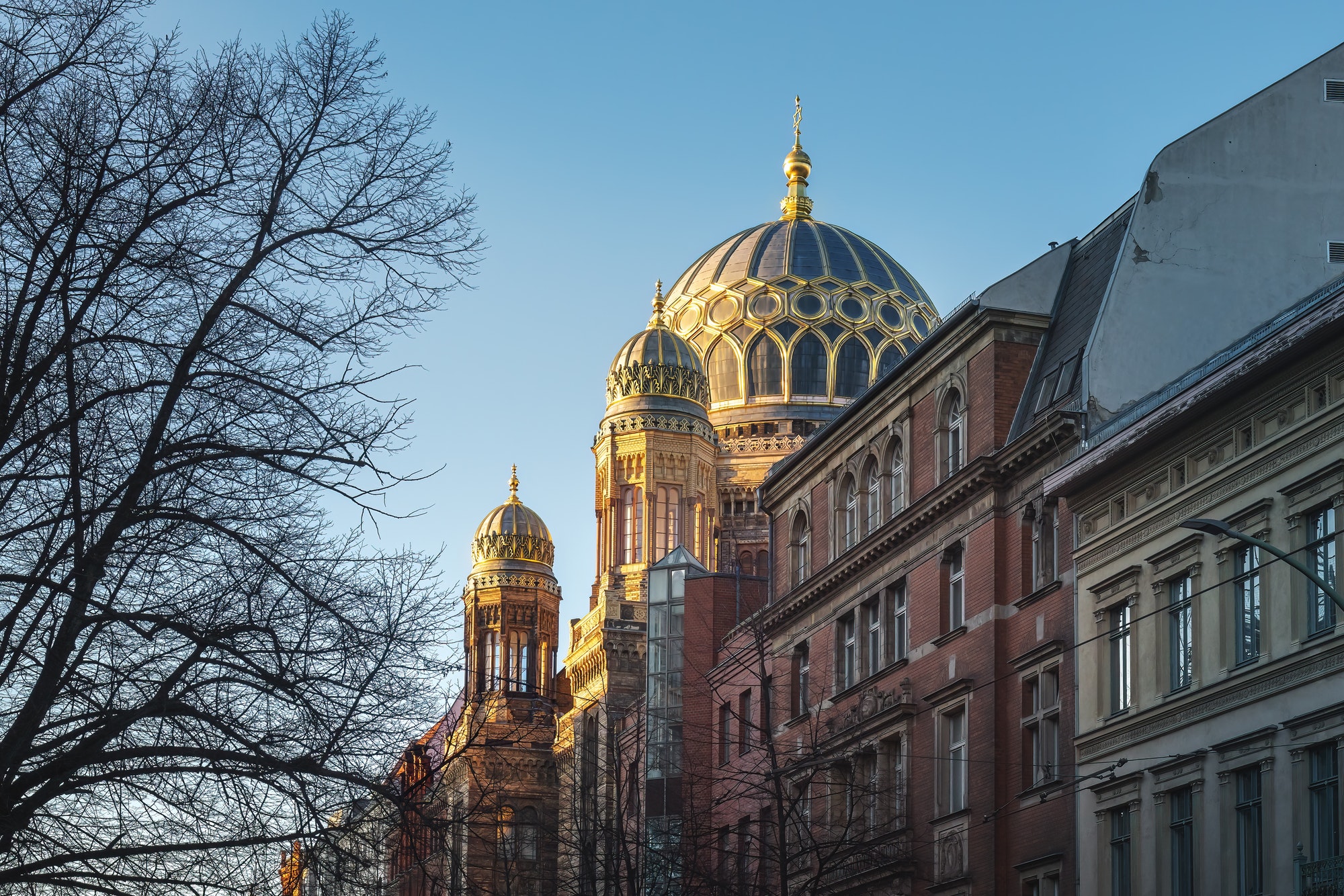 Guide Berlino - sinagoga di Berlino